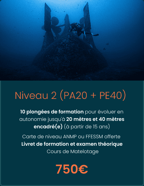n2